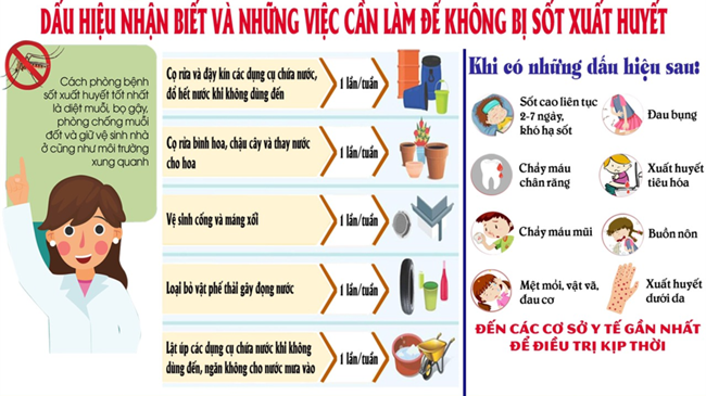 Đắk Lắk tăng cường triển khai các hoạt động phòng, chống dịch sốt xuất huyết (10/08/2024)